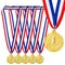 Juvale 1st Place Medals - 2in Gold with Award Ribbons - Sports Awards for Basketball & Soccer - Spelling Bee & Wrestling Medals - 2in, 15.5in Ribbon, Pack of 6